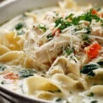 White Lasagna Chicken Soup