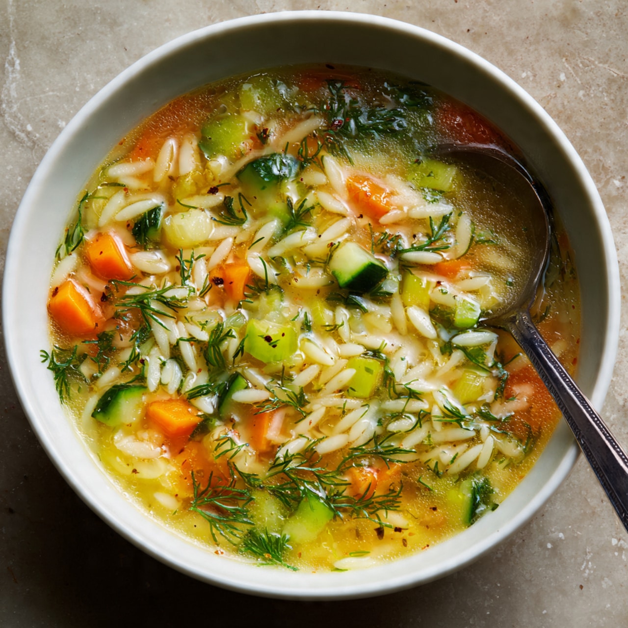 Orzo and Vegetable Soup with Lemon and Dill