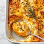 Sweet Potato Gratin Recipe