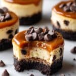 Salted Caramel Chocolate Chip Cheesecakes Recipe